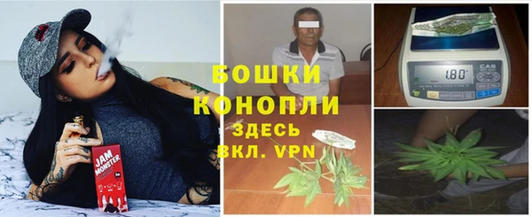 гидра Мегион