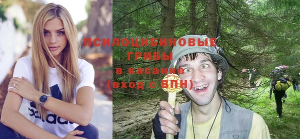 гидра Мегион