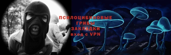 гидра Мегион