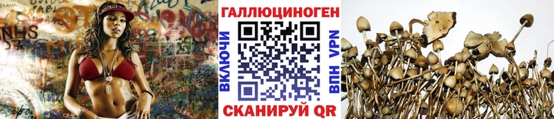 Галлюциногенные грибы GOLDEN TEACHER Купить закладки Туапсе